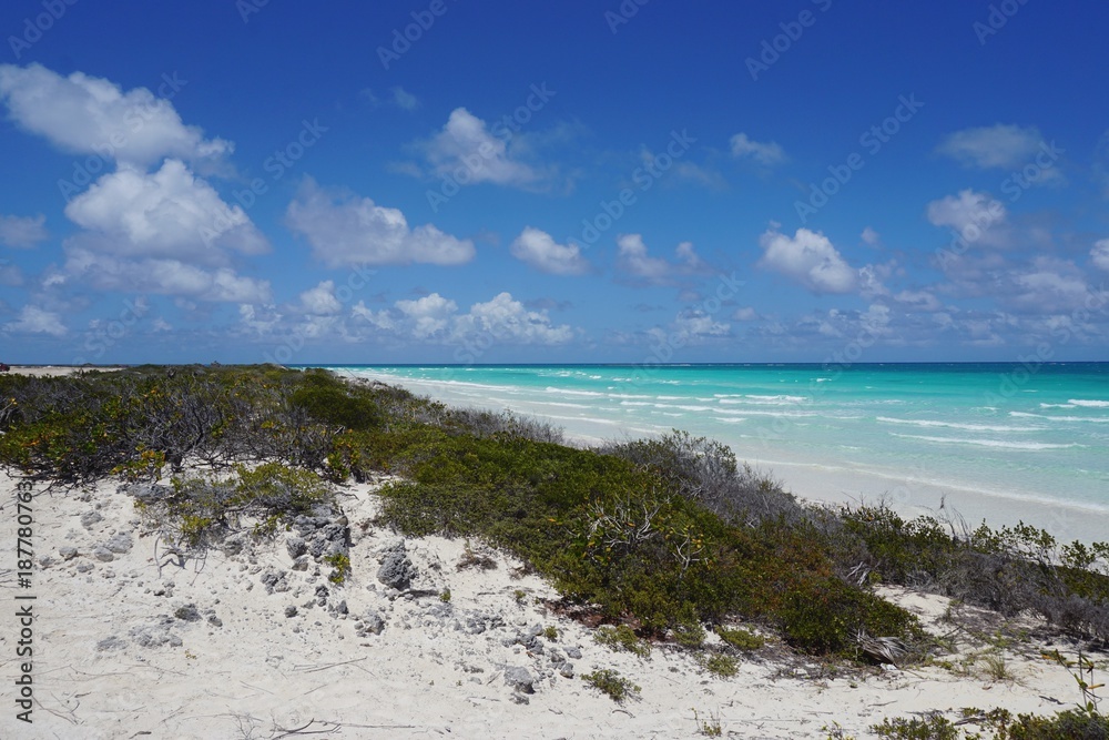 Strand auf Cayo Coco, Jardines Del Rey auf Kuba | Karibik