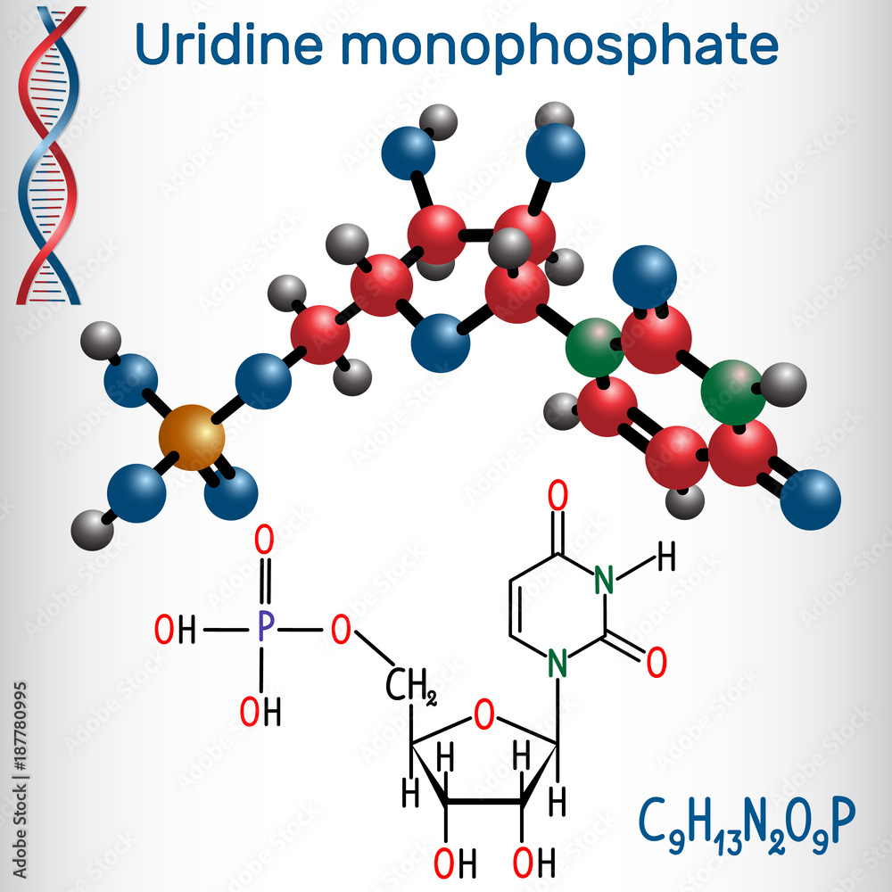 Vecteur Stock Uridine monophosphate (UMP) nucleotide molecule, monomer