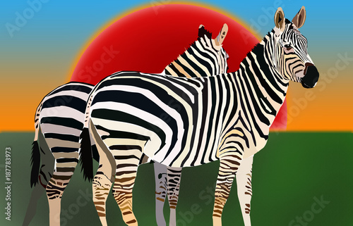 Zebra at Dawn Illustration