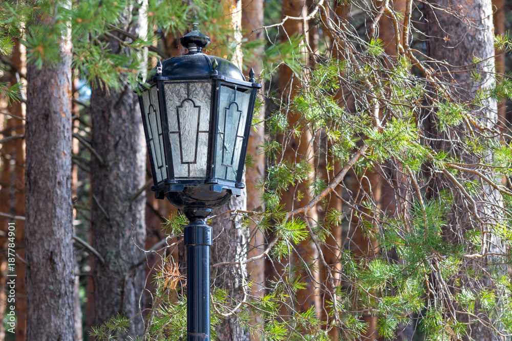 Street lamp installed in the Park