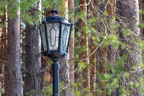 Street lamp installed in the Park