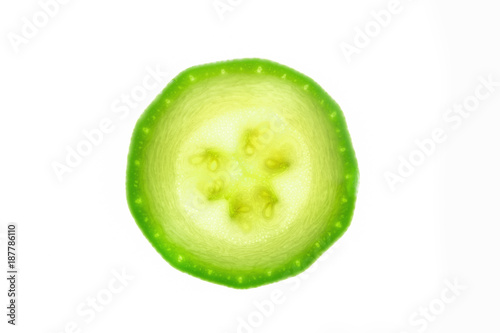 One slice of zucchini isolated on white