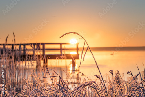 Fototapeta Naklejka Na Ścianę i Meble -  winter