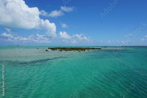 Mangroven Insel auf Cayo Coco, Jardines Del Rey, Kuba, Karibik 