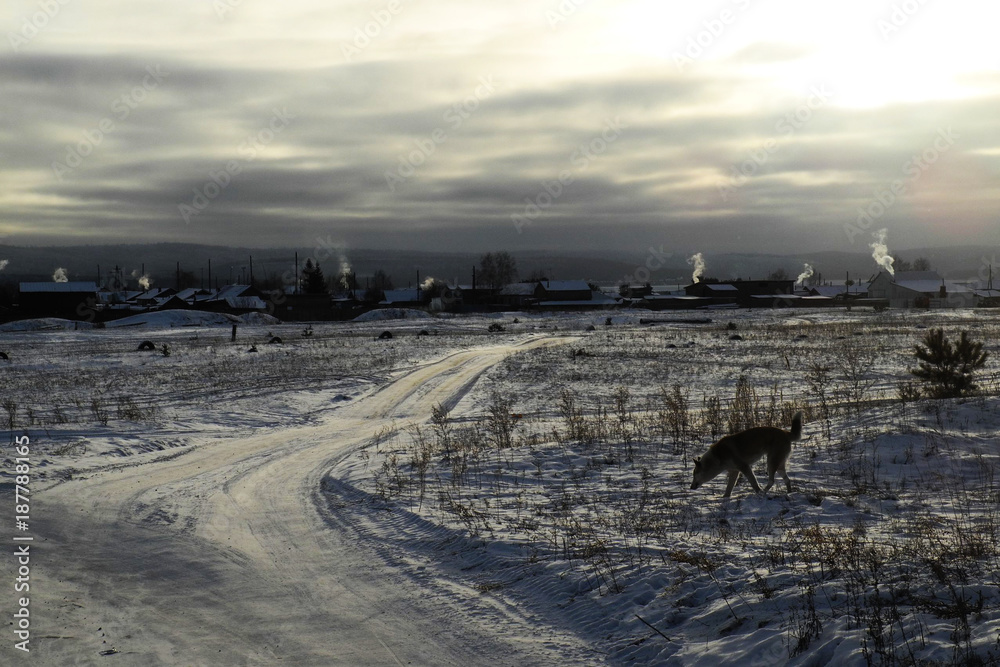 Perspective of country road