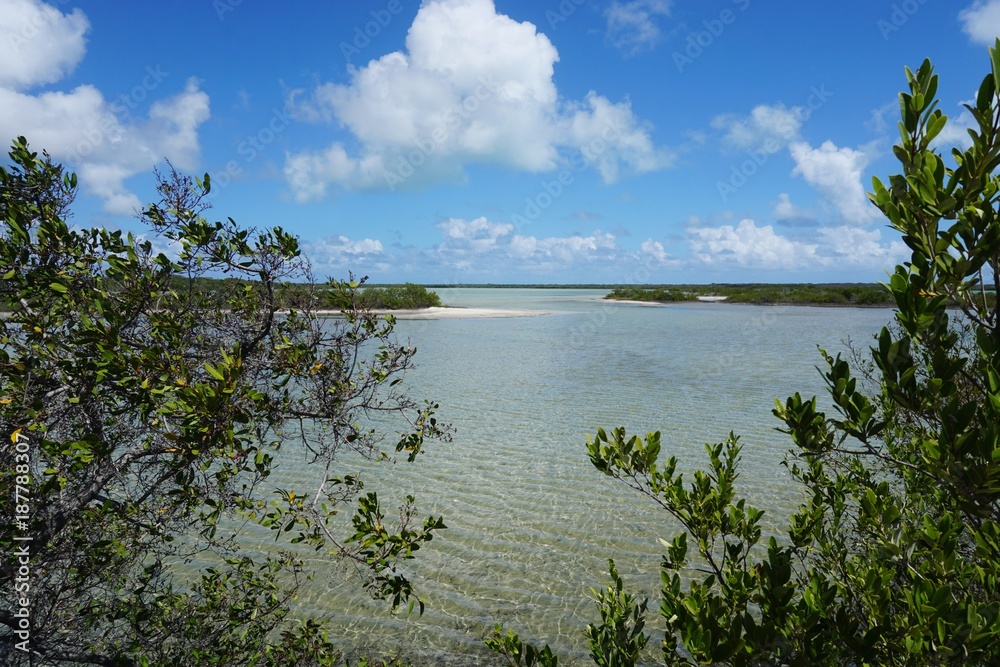 Obraz premium Lagune auf Cayo Coco, Jardines Del Rey auf Kuba, Karibik