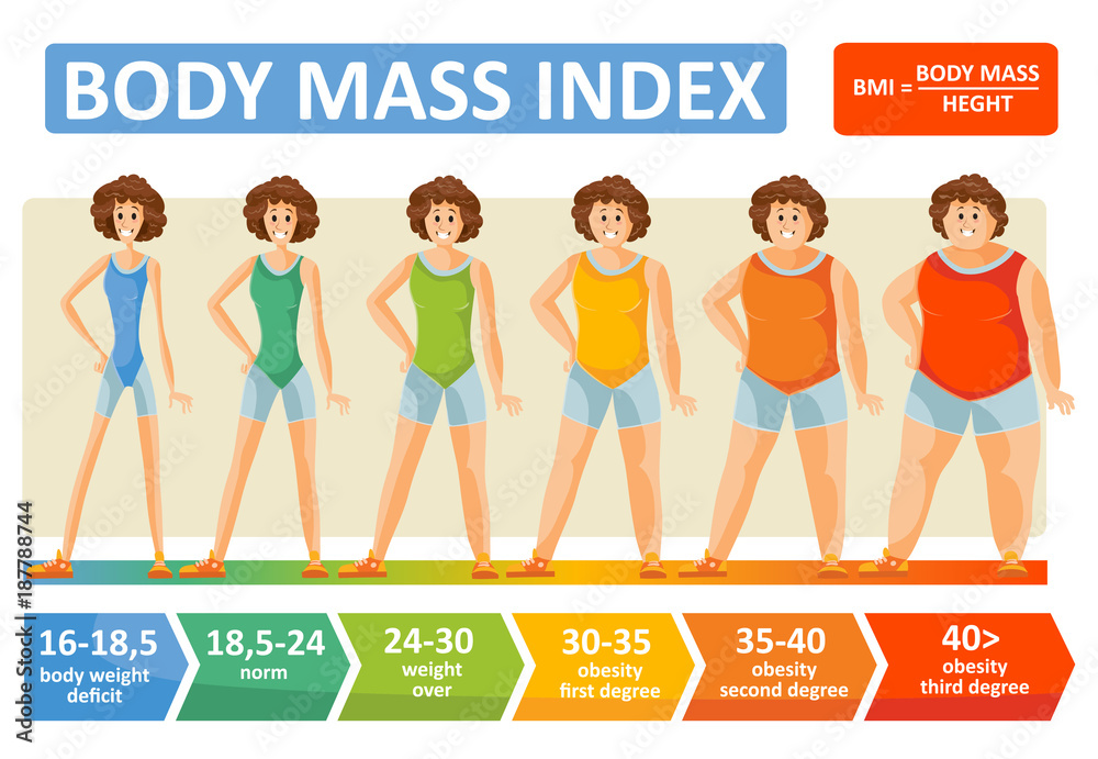 Body mass index of woman obesity weight vector infographics with age and  body build type scale. BMI flat design template of female body obese degree  for healthy diet and fitness concept vector