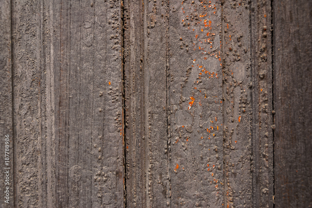 Fototapeta premium Wood texture exposed to the climate, natural lines detail.