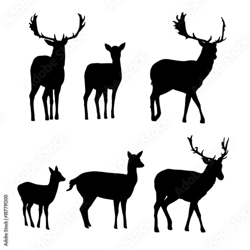 Set of vector silhouettes of deer with a fawn Fototapet