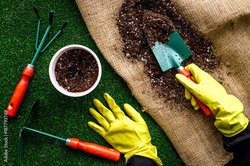 Plant flowers for garden. Tools spade, fork, hand cultivator, hoe and pot with soil on canvas and green garss background top view photo