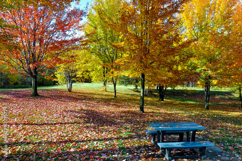 Autumn scene in Granby Quebec photo