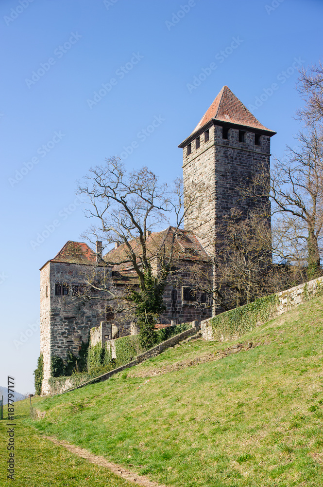 Obraz premium Burg Lichtenberg