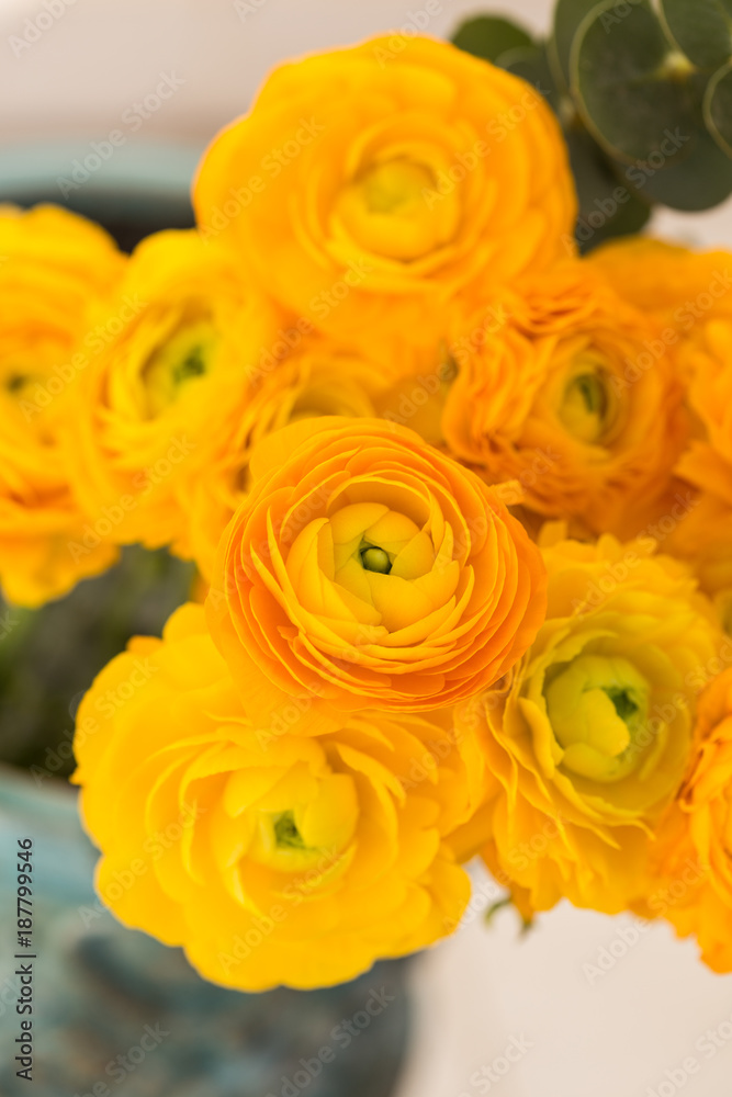 Bouquet of yellow ranunculus Bouquet of yellow ranunculus