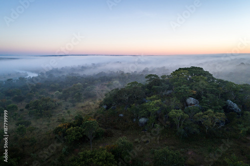 Floresta virgem de miombo ao longo do Cubango de madrugada vista do ar. Angola