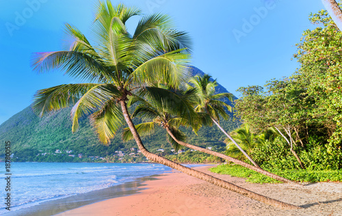 The Caribbean beach , Martinique island.