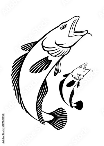 Atlantic Ling Fish