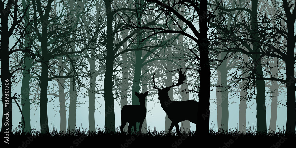 Obraz premium Vector illustration of deer and hind standing on grass