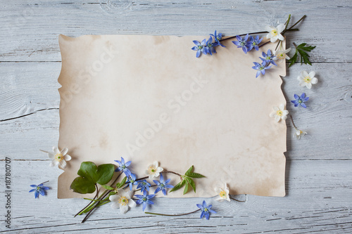 Spring flowers of scilla, anemones, snowdrops on a white wooden background and paper for text.