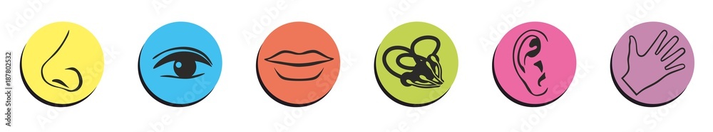 Fototapeta premium gesicht1101a