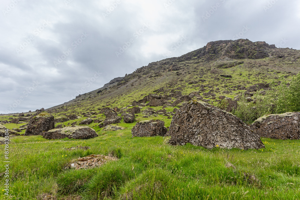 Green mountain slope on Iceland covered by grass with big rocks in foreground. Arctic nature in summer. Green fresh icelandic landscape.