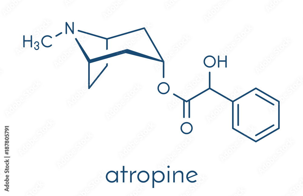Atropine deadly nightshade (Atropa belladonna) alkaloid molecule. Medicinal drug and poison also found in Jimson weed (Datura stramonium) and mandrake (Mandragora officinarum). Skeletal formula. Atropine deadly nightshade (Atropa belladonna) alkaloid molecule. Medicinal drug and poison also found in Jimson weed (Datura stramonium) and mandrake (Mandragora officinarum). Skeletal formula.