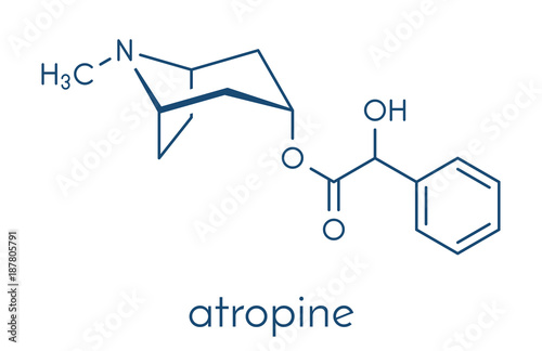 Atropine deadly nightshade (Atropa belladonna) alkaloid molecule. Medicinal drug and poison also found in Jimson weed (Datura stramonium) and mandrake (Mandragora officinarum). Skeletal formula. photo