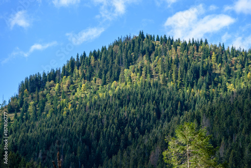 slovakian carpathian mountains in autumn with green forests