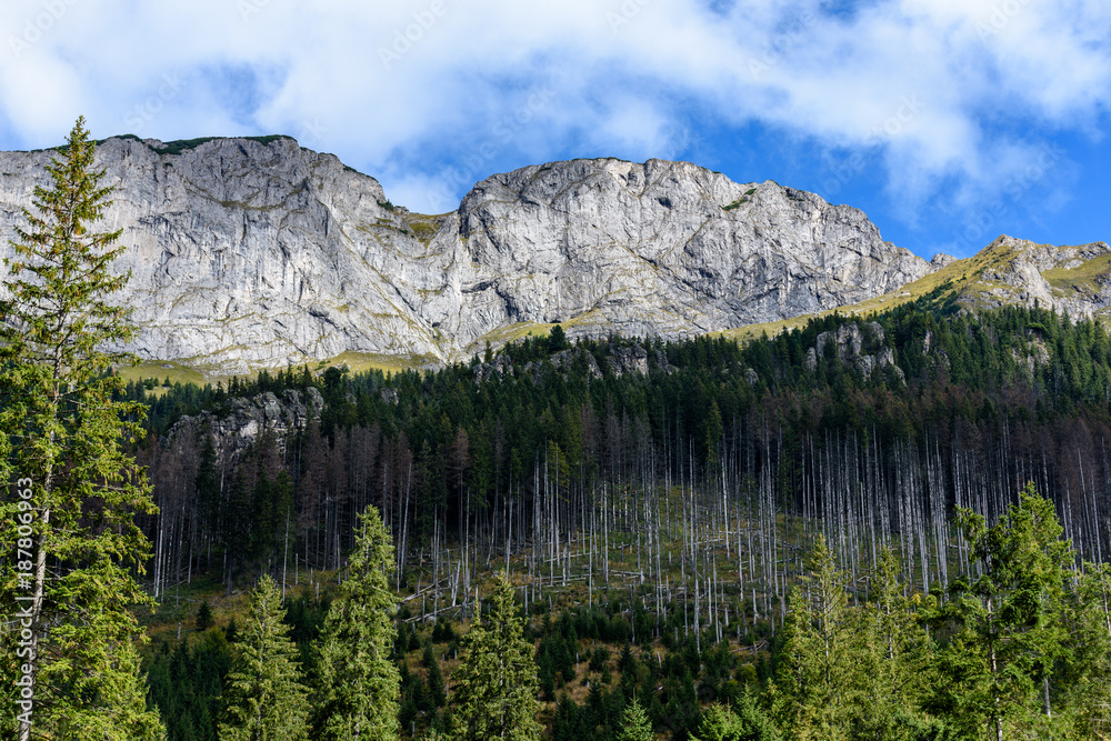 slovakian carpathian mountains in autumn with green forests slovakian carpathian mountains in autumn with green forests