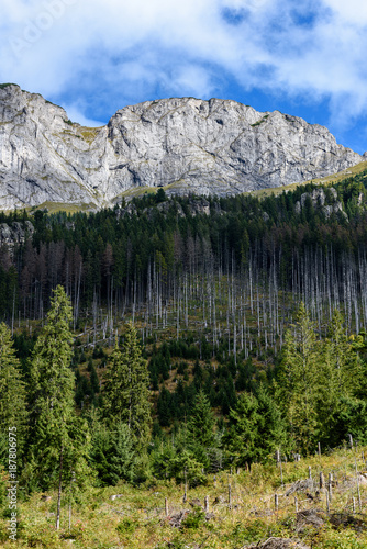 slovakian carpathian mountains in autumn with green forests