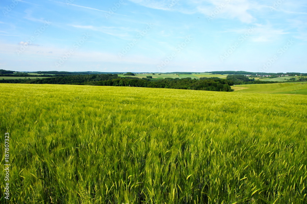 grüne Frühlingslandschaft im Hunsrück in der Nähe von Irmenach
grüne Frühlingslandschaft im Hunsrück in der Nähe von Irmenach