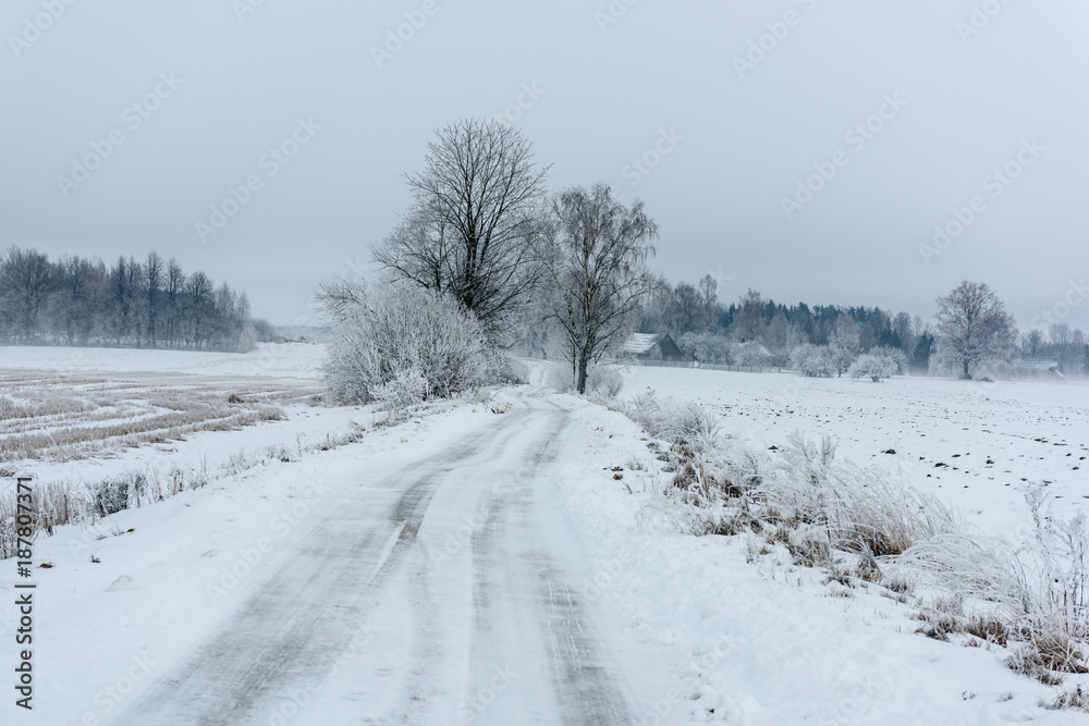 car tire tracks on winter road