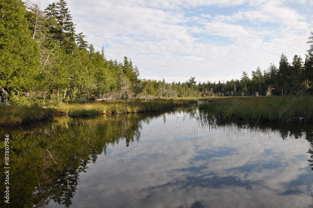 Fototapeta premium Park Narodowy Acadia, Maine, USA