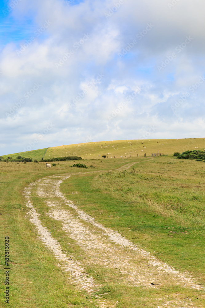 The South Downs Way The South Downs Way