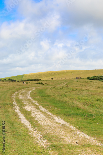 The South Downs Way