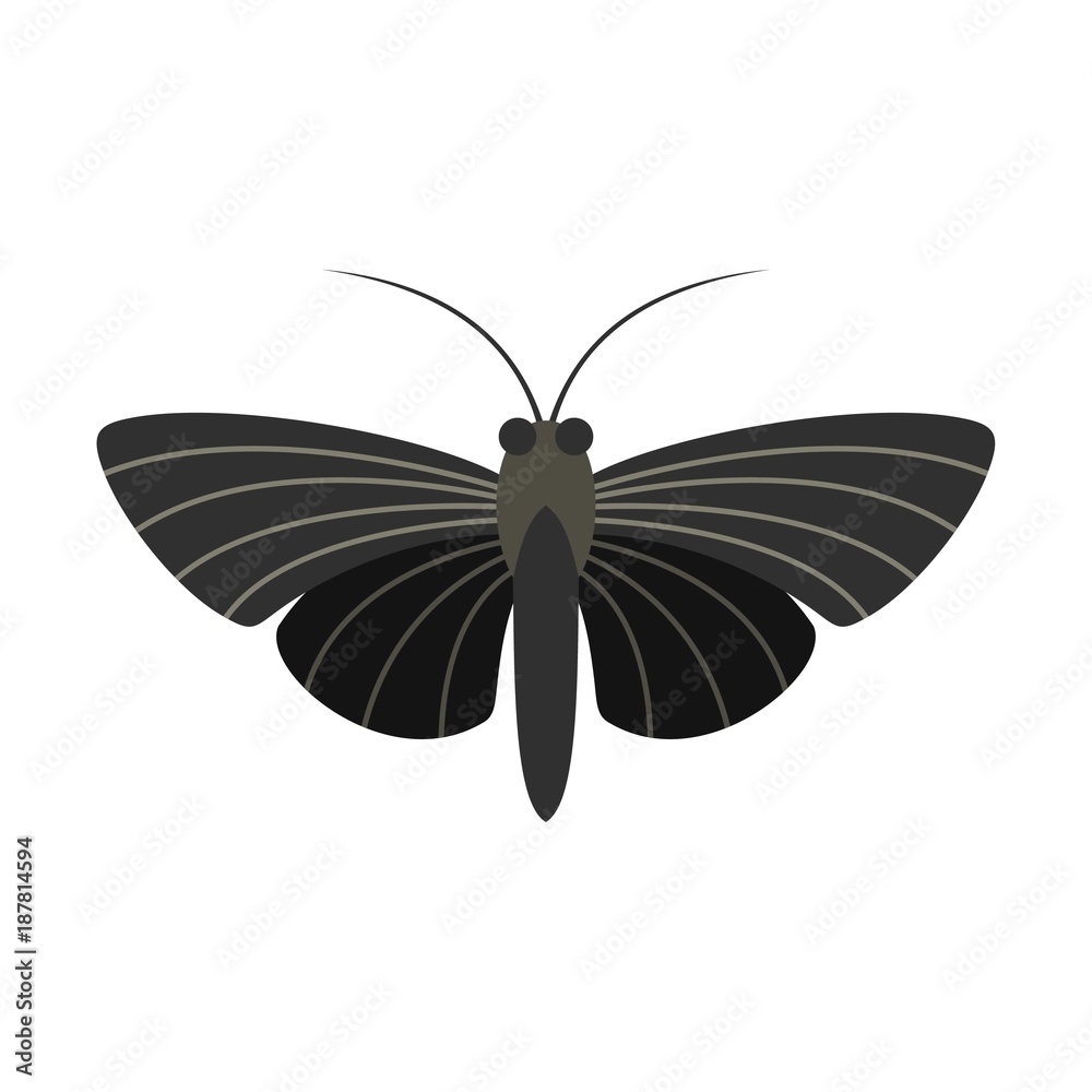 Obraz premium Butterfly with small wings icon, flat style
