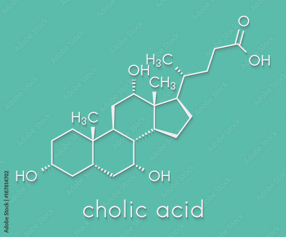 Cholic acid (cholate) molecule. Main bile acid component. Skeletal formula.