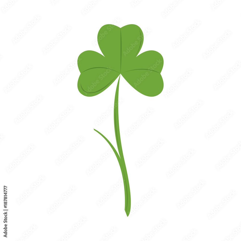 Isolated traditional clover