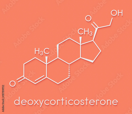 Deoxycorticosterone (DOC) mineralocorticoid hormone molecule. Precursor to aldosterone. Skeletal formula. photo