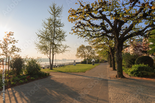 At the banks of river Rhine in Mainz  Germany