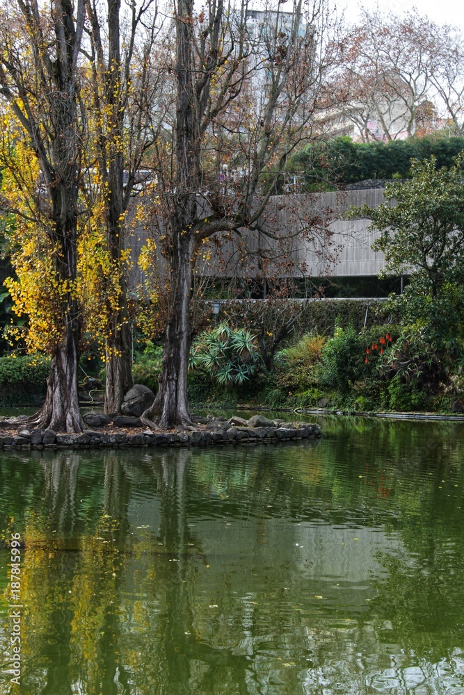 Leafy garden with lake in Lisbon Leafy garden with lake in Lisbon