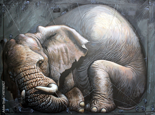 Sleeping elephant. Big elephant illustration. Gulliver. photo