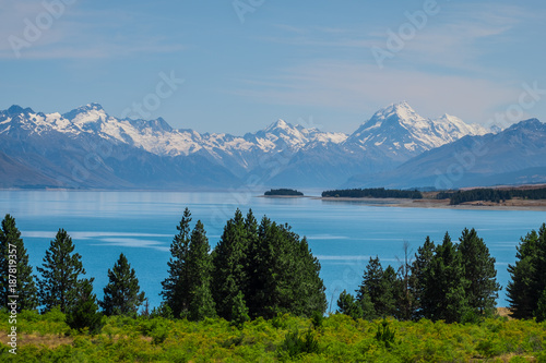 Beautiful scene of Mt Cook in summer beside the lake with green tree and blue sky. New Zealand