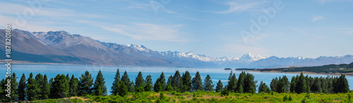 Fototapeta Naklejka Na Ścianę i Meble -  Panorama view of Beautiful scene of Mt Cook in summer beside the lake with green tree and blue sky. New Zealand