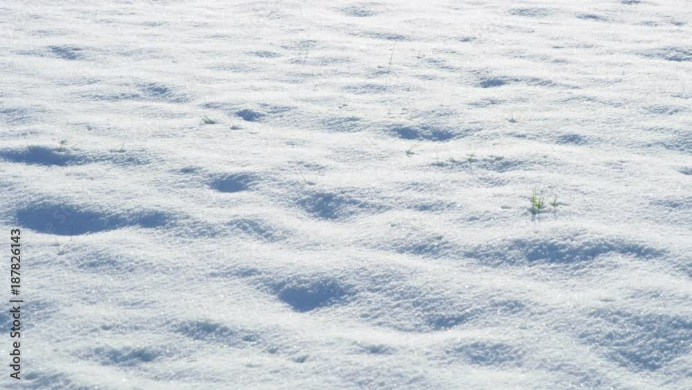 Texture of fresh winter snow on ground Texture of fresh winter snow on ground