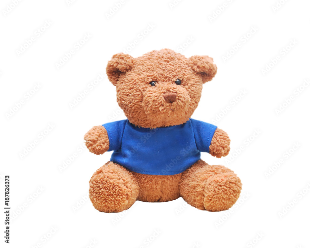 Fototapeta premium Brown teddy bear wear blue shirt isolated with white background