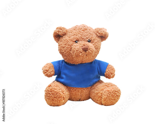 Brown teddy bear wear blue shirt isolated with white background
