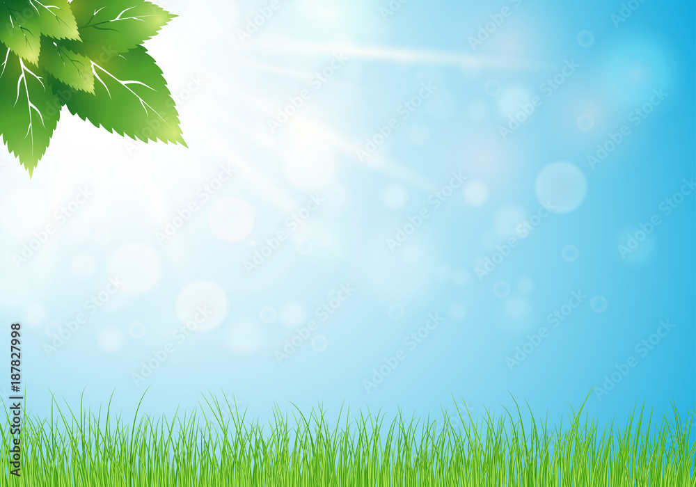 Fototapeta premium Light spring background with bokeh and young nature. Vector. Eps 10.