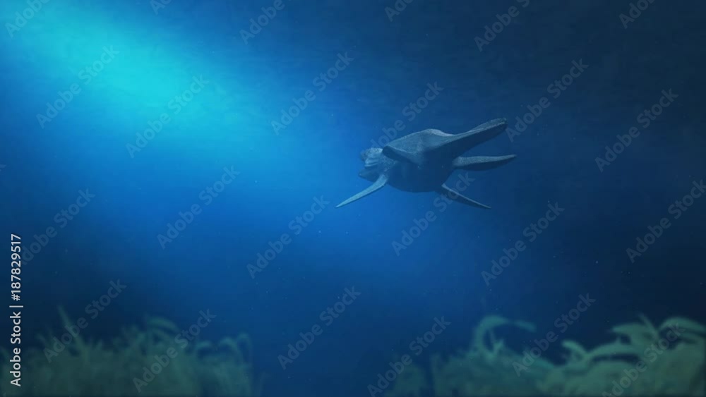 Simolestes - an extinct species of plesiosaur swims in late Jurassic ocean - Rear View