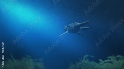 Simolestes - an extinct species of plesiosaur swims in late Jurassic ocean - Rear View photo