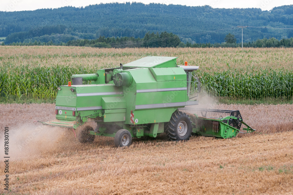 Harvester machine to harvest wheat field working. Combine harvester agriculture machine harvesting golden ripe wheat field. Agriculture Harvester machine to harvest wheat field working. Combine harvester agriculture machine harvesting golden ripe wheat field. Agriculture
